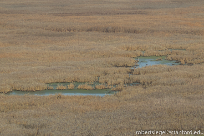 coyotehills